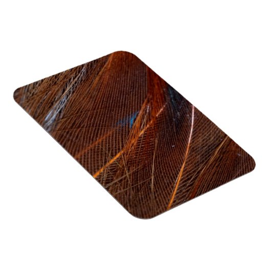 Kleurvolle Peacock Feather in detail Magneet (Rechterzijde)