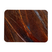 Kleurvolle Peacock Feather in detail Magneet (Horizontaal)