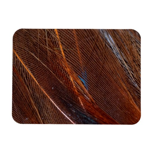 Kleurvolle Peacock Feather in detail Magneet (Horizontaal)