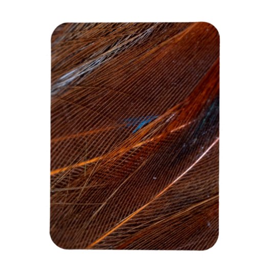 Kleurvolle Peacock Feather in detail Magneet (Verticaal)