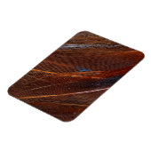 Kleurvolle Peacock Feather in detail Magneet (Linkerzijde)