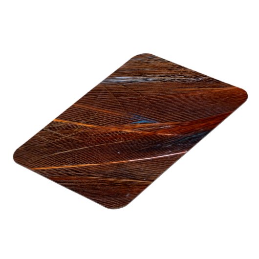 Kleurvolle Peacock Feather in detail Magneet (Linkerzijde)