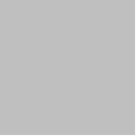 kleurzilver staand fotobeeldje<br><div class="desc">kleur zilver C0C0C0</div>