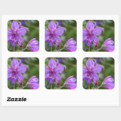 Klevende geranium wilde bloemen vierkante sticker (Vel)
