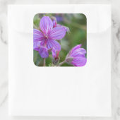 Klevende geranium wilde bloemen vierkante sticker (Tas)