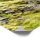 Klifbrekkufossar, IJsland Poster (Hoek)