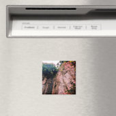 klifzijde magneet (Insitu (Vaatwasser))