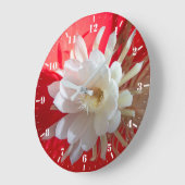 Klikkende cactus in bloesem op rood met reflectie grote klok (Hoek)