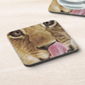 Klikneus (Panthera leo), close-up Bier Onderzetter (Linkerzijde)