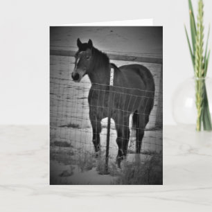 "Klim Op Je Hoge Paard" Verjaardagskaart Kaart