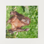 Klim Orangutan Baby Wandkleed (Voorkant (horizontaal))
