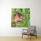 Klim Orangutan Baby Wandkleed (In Situ (horizontaal))