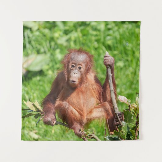 Klim Orangutan Baby Wandkleed (Voorkant)