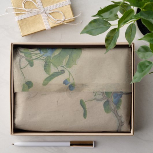 Klimaatblauwe bloemen van Zhang Ruoai Tissuepapier (Geschenk)