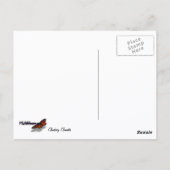 Klimaatbloemen van Clematis Paarse lentevloeren Briefkaart (Achterkant)