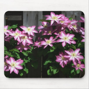 Klimaatbloemen van Clematis Paarse lentevloeren Muismat