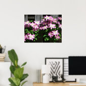 Klimaatbloemen van Clematis Paarse lentevloeren Poster (Thuiskantoor)