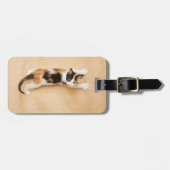 KlimaatCalico Kitten Bagagelabel (Voorkant horizontaal)