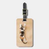 KlimaatCalico Kitten Bagagelabel (Voorkant verticaal)