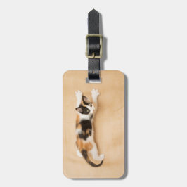 KlimaatCalico Kitten Bagagelabel