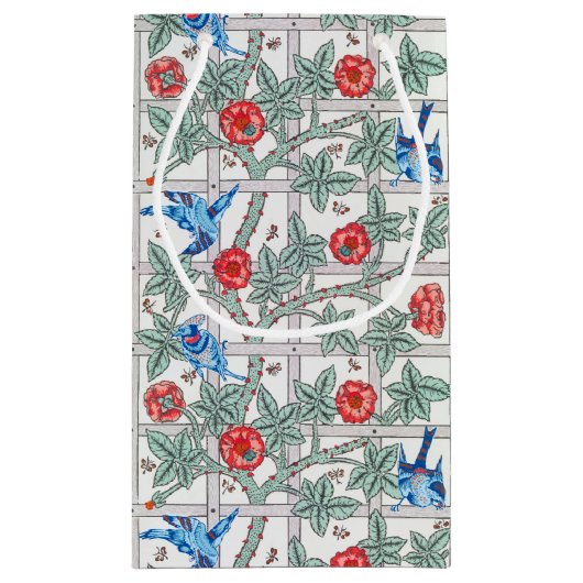 Klimaatverandering in Roos en kleine vogel, Willia Klein Cadeauzakje (Achterkant)