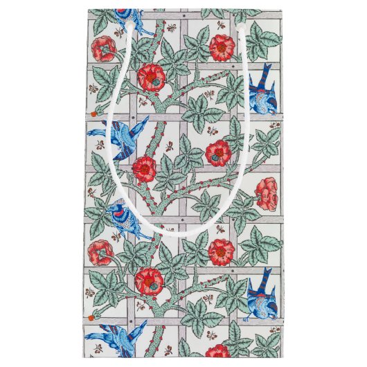 Klimaatverandering in Roos en kleine vogel, Willia Klein Cadeauzakje (Voorkant)