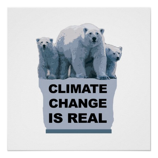 Klimaatverandering is echt perfect poster (Voorkant)