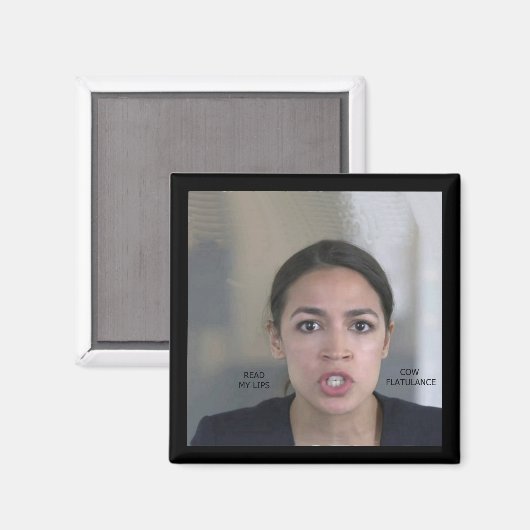 KLIMAATVERANDERING MAGNEET (Voorkant / Achterkant)