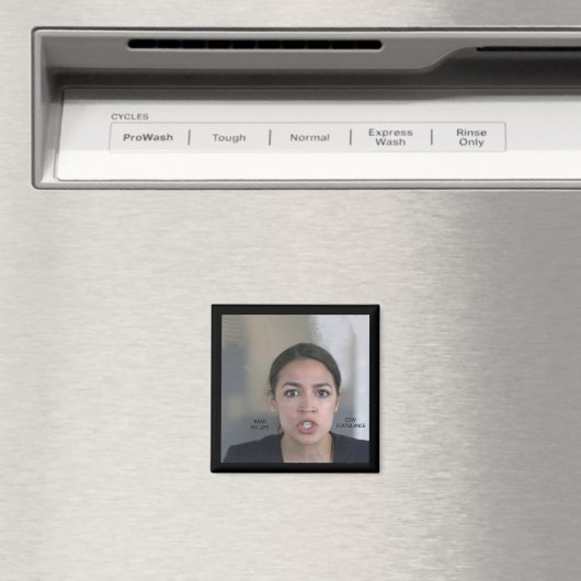 KLIMAATVERANDERING MAGNEET (Insitu (Vaatwasser))