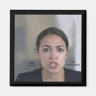 KLIMAATVERANDERING MAGNEET