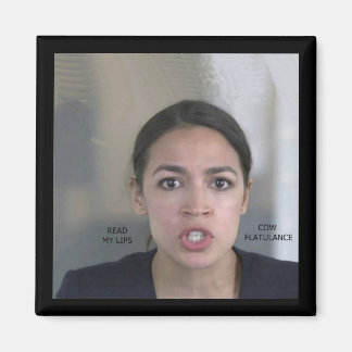 KLIMAATVERANDERING MAGNEET