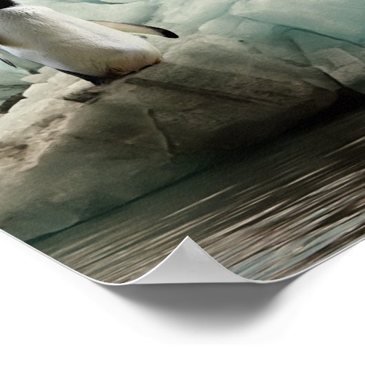 Klimaatverandering met pinguïn en poolbeer poster (Hoek)