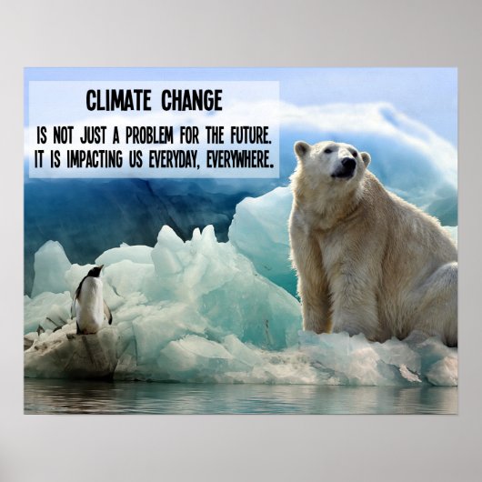 Klimaatverandering met pinguïn en poolbeer poster (Voorkant)