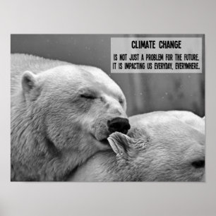 Klimaatverandering zwart-wit met poolberen poster