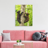 Klimboom met zwarte Beren Canvas Afdruk (Insitu (Woonkamer))