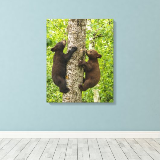 Klimboom met zwarte Beren Canvas Afdruk (Insitu (Houten vloer))
