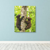Klimboom met zwarte Beren Canvas Afdruk (Insitu (Houten vloer))
