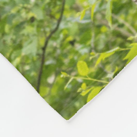 Klimboom met zwarte Beren Fleece Deken (Hoek)