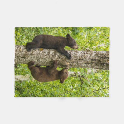 Klimboom met zwarte Beren Fleece Deken (Voorkant (Horizontaal))