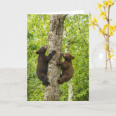 Klimboom met zwarte Beren Kaart (Gele Bloem)