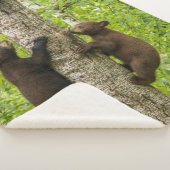 Klimboom met zwarte Beren Sherpa Deken (3/4)