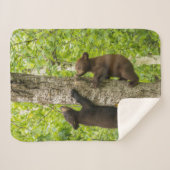 Klimboom met zwarte Beren Sherpa Deken (Voorkant (horizontaal))