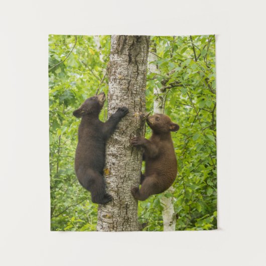 Klimboom met zwarte Beren Wandkleed (Voorkant)