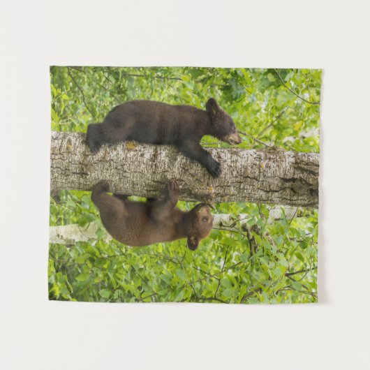 Klimboom met zwarte Beren Wandkleed (Voorkant (horizontaal))