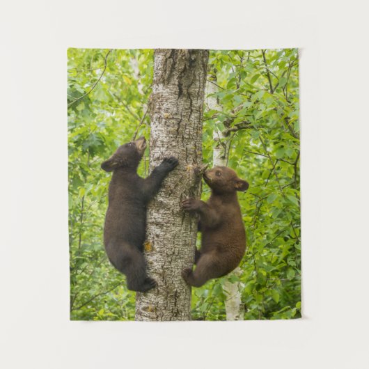 Klimboom met zwarte Beren Wandkleed (Voorkant)