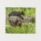 Klimboom met zwarte Beren Wandkleed (Voorkant (horizontaal))