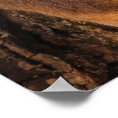 Klimboom muis poster (Hoek)