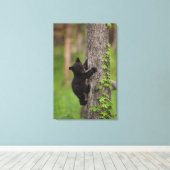 Klimboom voor zwarte Beren Canvas Afdruk (Insitu (Houten vloer))
