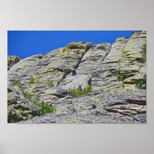 Klimer Nears Summit of Devils Tower, Wyoming Poster