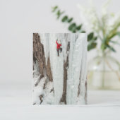 Klimijijs op man, Colorado Briefkaart (Staand voorkant)